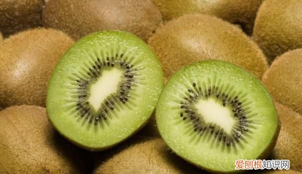 猕猴桃属于什么类水果,猕猴桃在拼多多属于什么类目