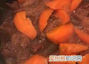 胡萝卜炖牛腩如何做，红萝卜炖牛腩的家常做法窍门