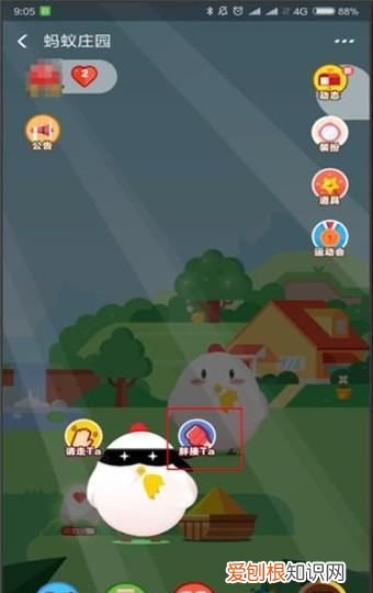 如何主动揍好友的小鸡,蚂蚁庄园应该咋样才能揍别人小鸡