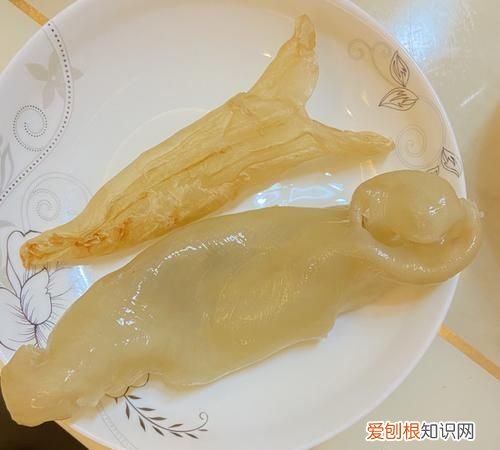 花胶泡发后能保存几天,花胶切开后还能保存多久