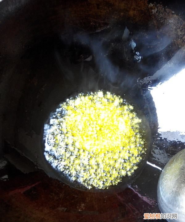 金针菇炒韭菜家常做法,韭菜金针菇怎么炒好吃