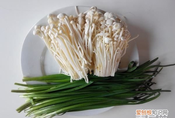 金针菇炒韭菜家常做法，韭菜金针菇怎么炒好吃