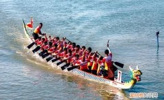 我们的龙船好词好句，我们的龙船主要讲了什么