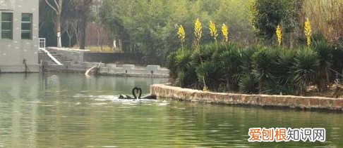 郑州师范新校区有什么专业,郑州师范大学都有哪些专业