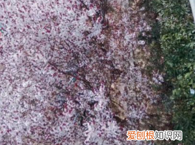 郑州师范新校区有什么专业,郑州师范大学都有哪些专业