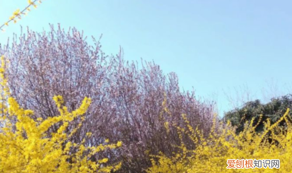 郑州师范新校区有什么专业，郑州师范大学都有哪些专业