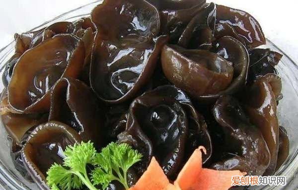 木耳煮熟了可以留第二天吃,煮熟木耳过夜能不能吃呢有没有毒