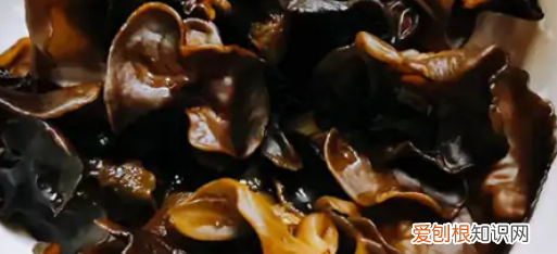 木耳煮熟了可以留第二天吃,煮熟木耳过夜能不能吃呢有没有毒