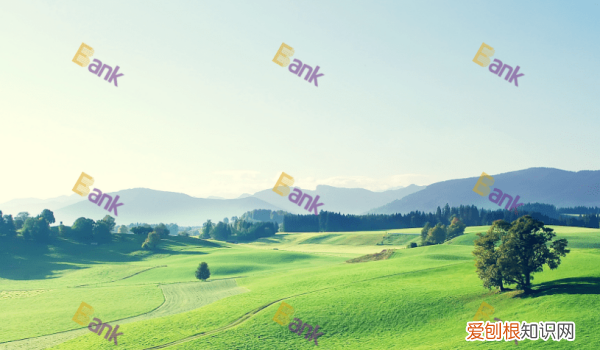 PS如何批量添加水印,手机怎么给图片批量添加水印