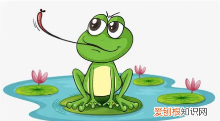 青蛙跳过来告诉我什么，青蛙跳到碧绿的荷叶上告诉我什么