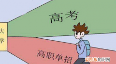 单招与统招有什么区别，什么是单招和统招的区别