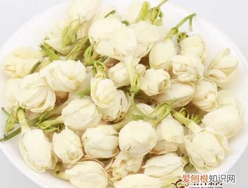 茉莉蜜茶隔夜可以喝吗,康师傅茉莉蜜茶放冰箱隔夜还能喝