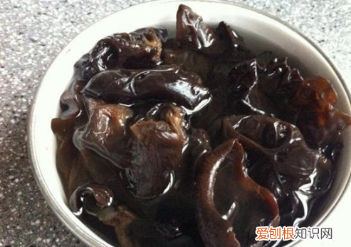 木耳泡多了可以冷冻吗，木耳泡好可以放冰箱冷冻