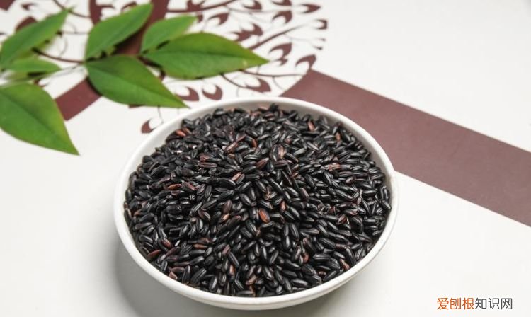 黑米泡多久,煮黑米粥之前需要把黑米泡一下么冷水还是温水泡多久