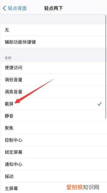 苹果手机双击截屏怎么设置,苹果双击后盖截图如何实现的