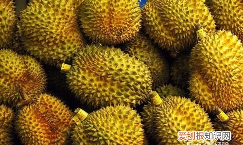 裂开的榴莲可以放几天，不裂开的榴莲可以直接放冰箱