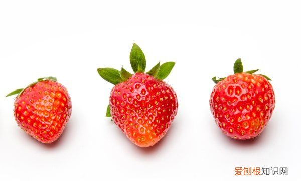 草莓成熟周期多少天,草莓要多少时间才能结果