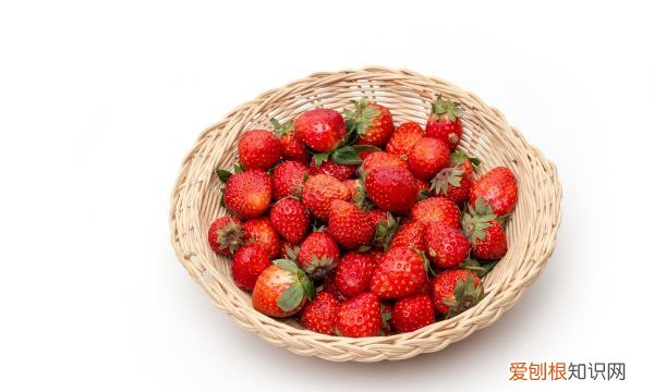草莓成熟周期多少天,草莓要多少时间才能结果