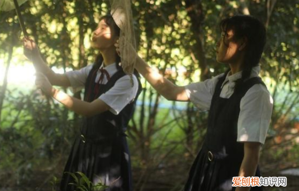 如何正确与女友闺蜜相处,女朋友的闺蜜要不要好好相处