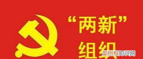 两新组织是指什么,两新组织党建工作指什么