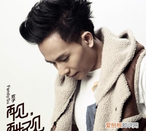 心底的一声呼唤是什么歌,却换来了再也不见是什么歌