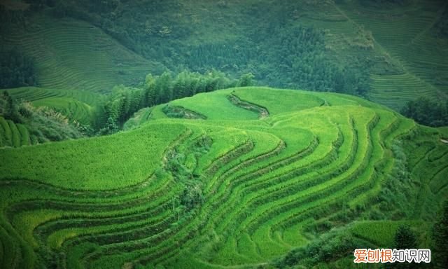 桂林旅游攻略必去景点自由行,桂林旅游和桂林导游有什么差别吗