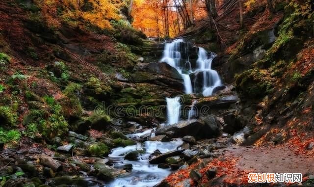 桂林旅游攻略必去景点自由行,桂林旅游和桂林导游有什么差别吗