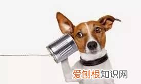 简单粗暴地教你谈恋爱,手把手教你怎么谈恋爱