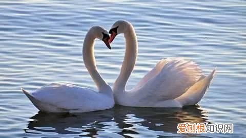 简单粗暴地教你谈恋爱,手把手教你怎么谈恋爱