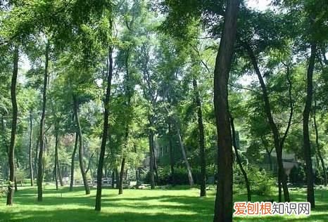 一生必去的毕业旅游 适合毕业旅游的小众景点