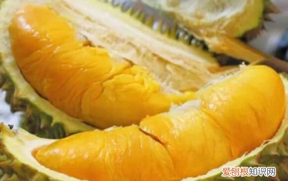 榴莲为什么臭，榴莲为什么会那么臭而吃起来又很香呢