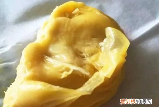 榴莲为什么臭，榴莲为什么会那么臭而吃起来又很香呢