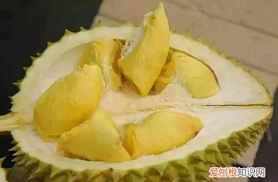 榴莲为什么臭，榴莲为什么会那么臭而吃起来又很香呢