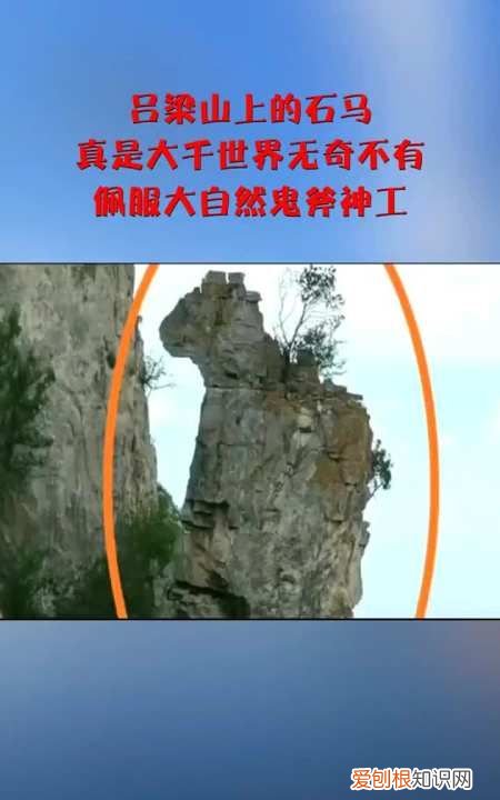 无奇不有上一句，世间百态无奇不有什么意思