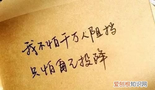 认栽认输不认命意思,我认输但我不认命是什么意思