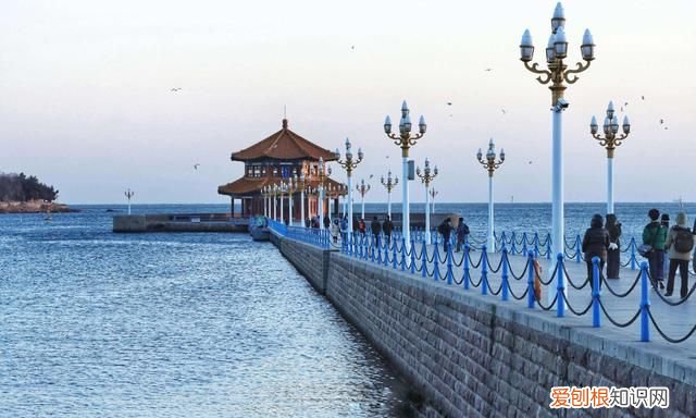 青岛有什么好玩的地方推荐一下