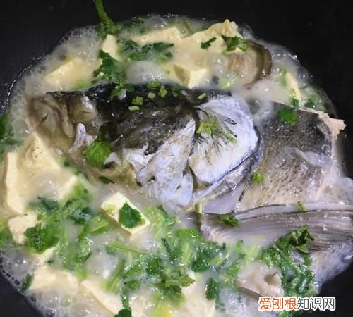 鱼头豆腐汤用什么鱼头,鱼头豆腐汤一般用什么鱼头