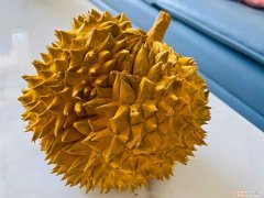 榴莲壳煲鸡汤的做法功效