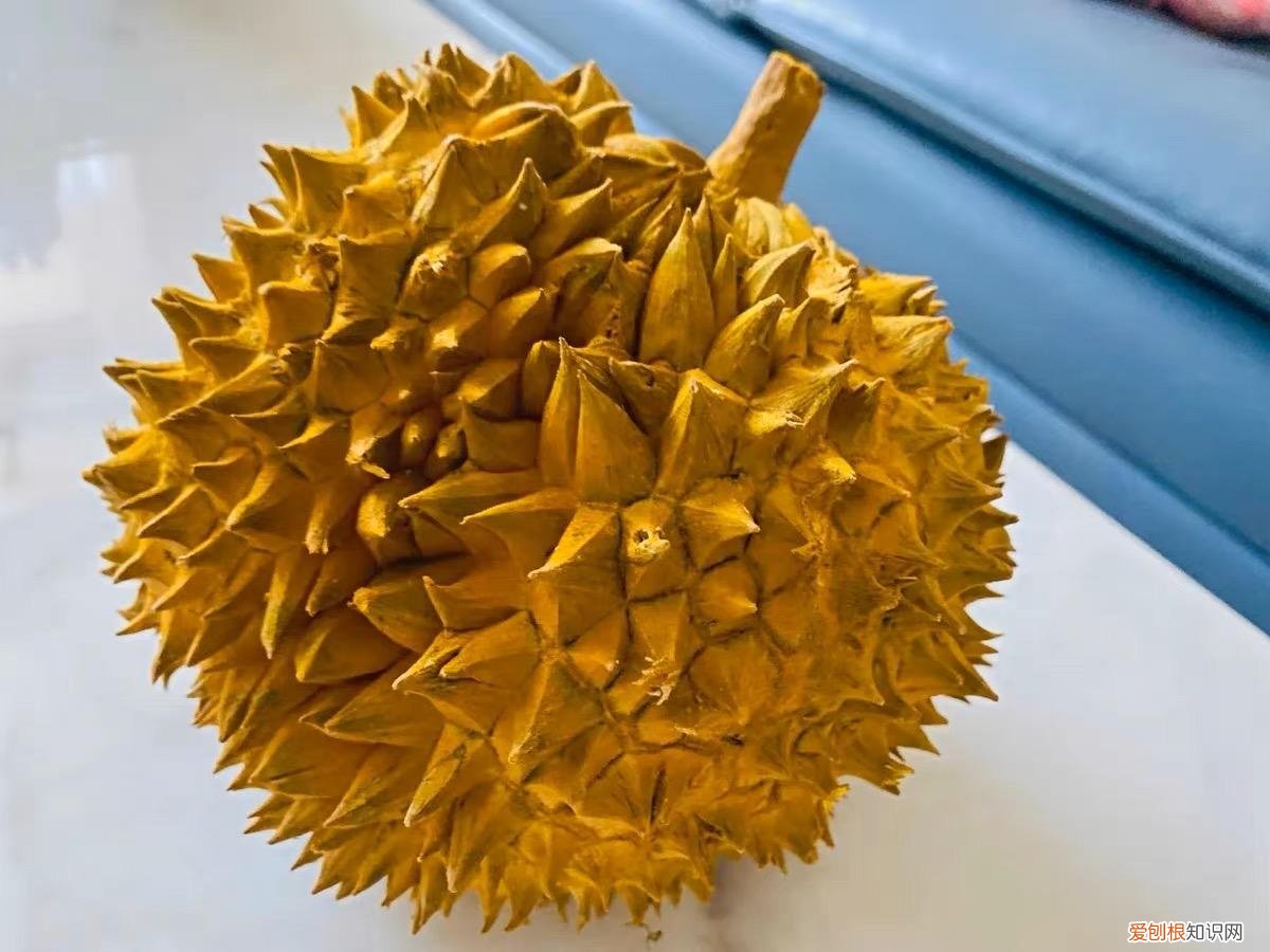 榴莲壳煲鸡汤的做法功效