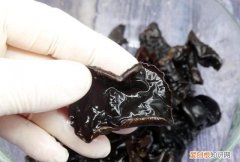 木耳泡开后可以放多久，木耳泡好了最多可以放多久