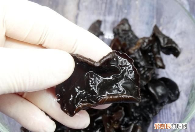 木耳泡开后可以放多久，木耳泡好了最多可以放多久