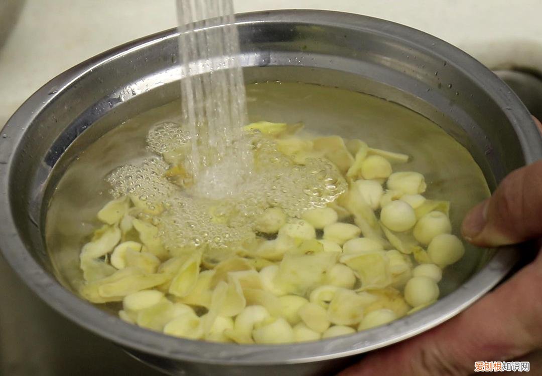 滋阴养血的食物有哪些?