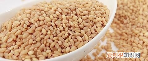 孕妇能吃麦仁，哪些人不宜吃麦仁