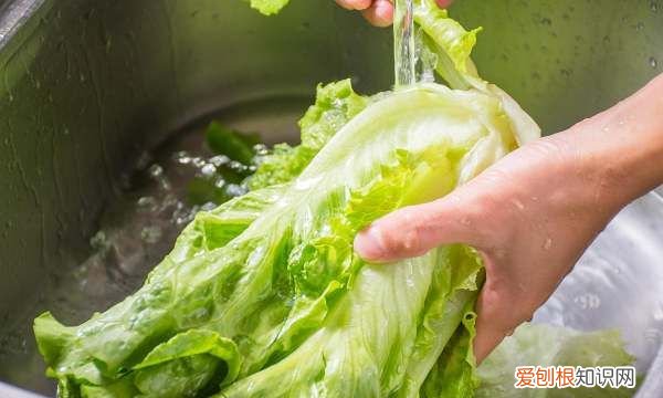 生菜种植方法全过程，生菜从播种到收获需要多久