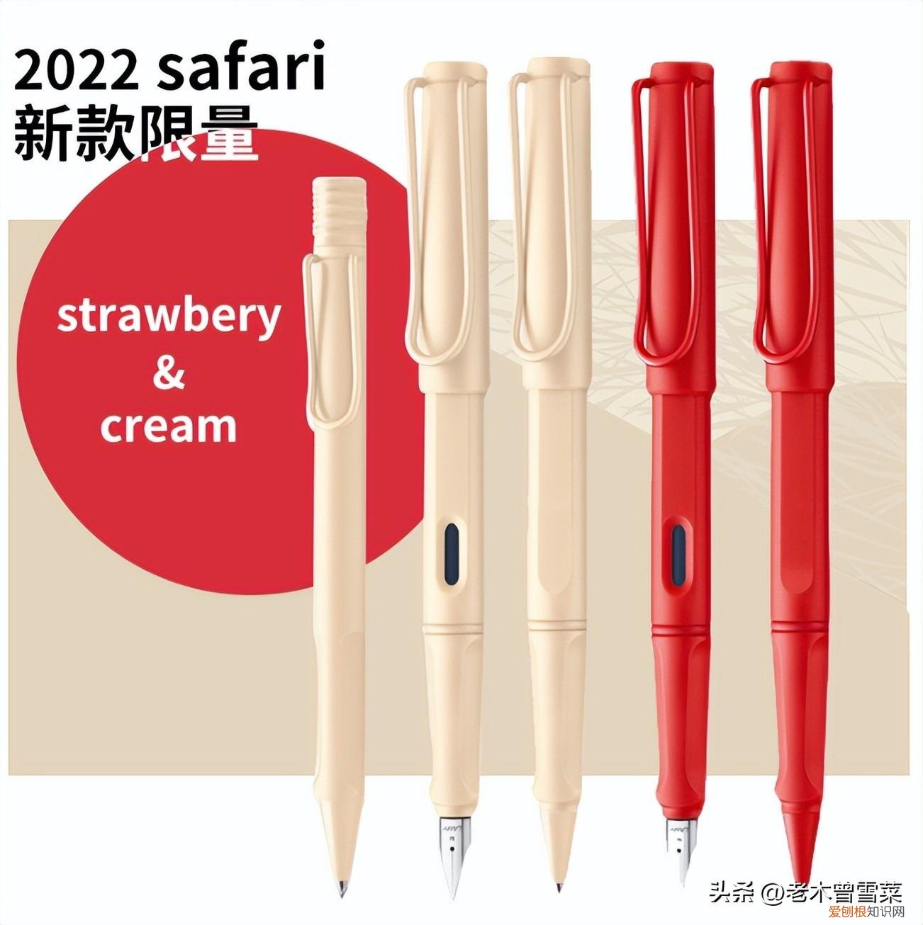 威迪文钢笔怎么样？