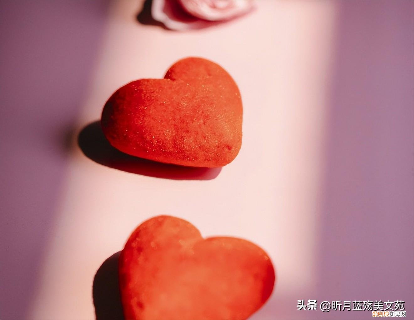 相聚离开都有时候