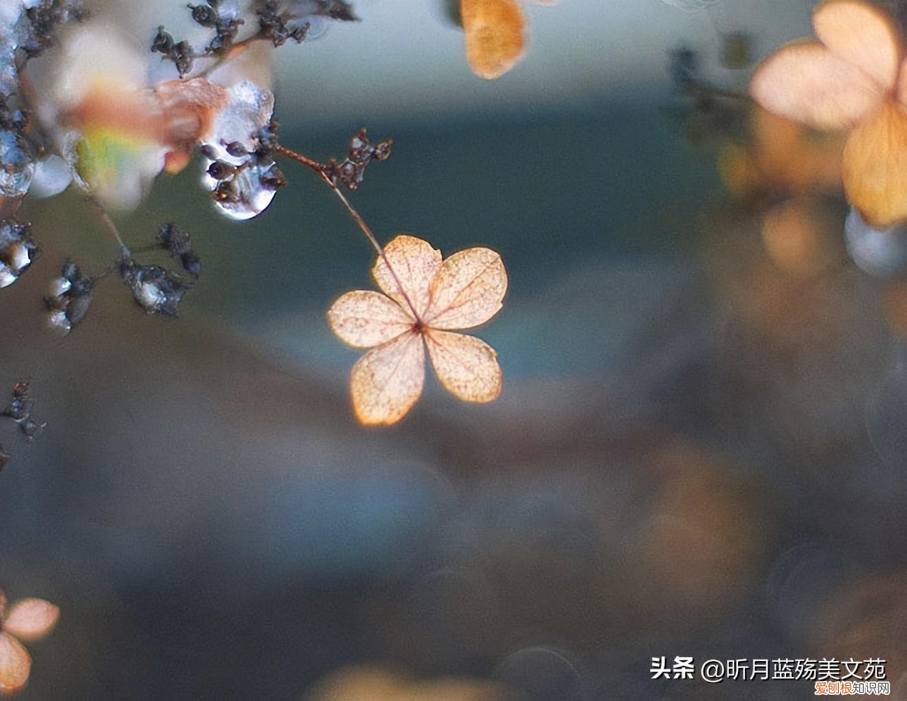 相聚离开都有时候