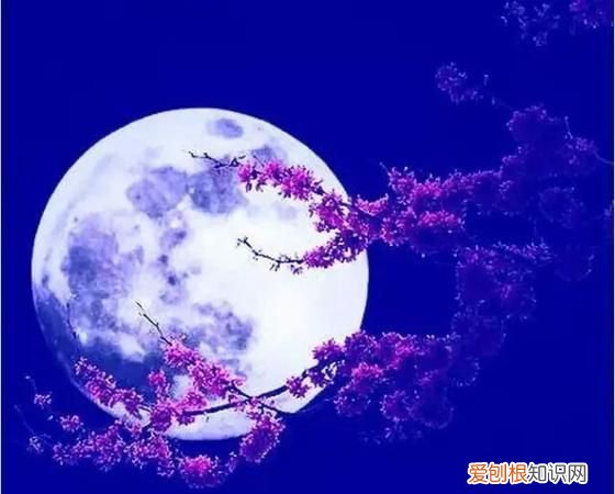 月亮的美称有什么