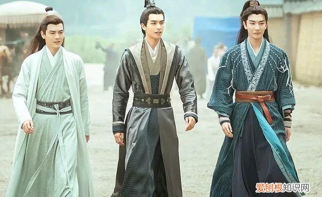 代驾魏国是哪部电视剧