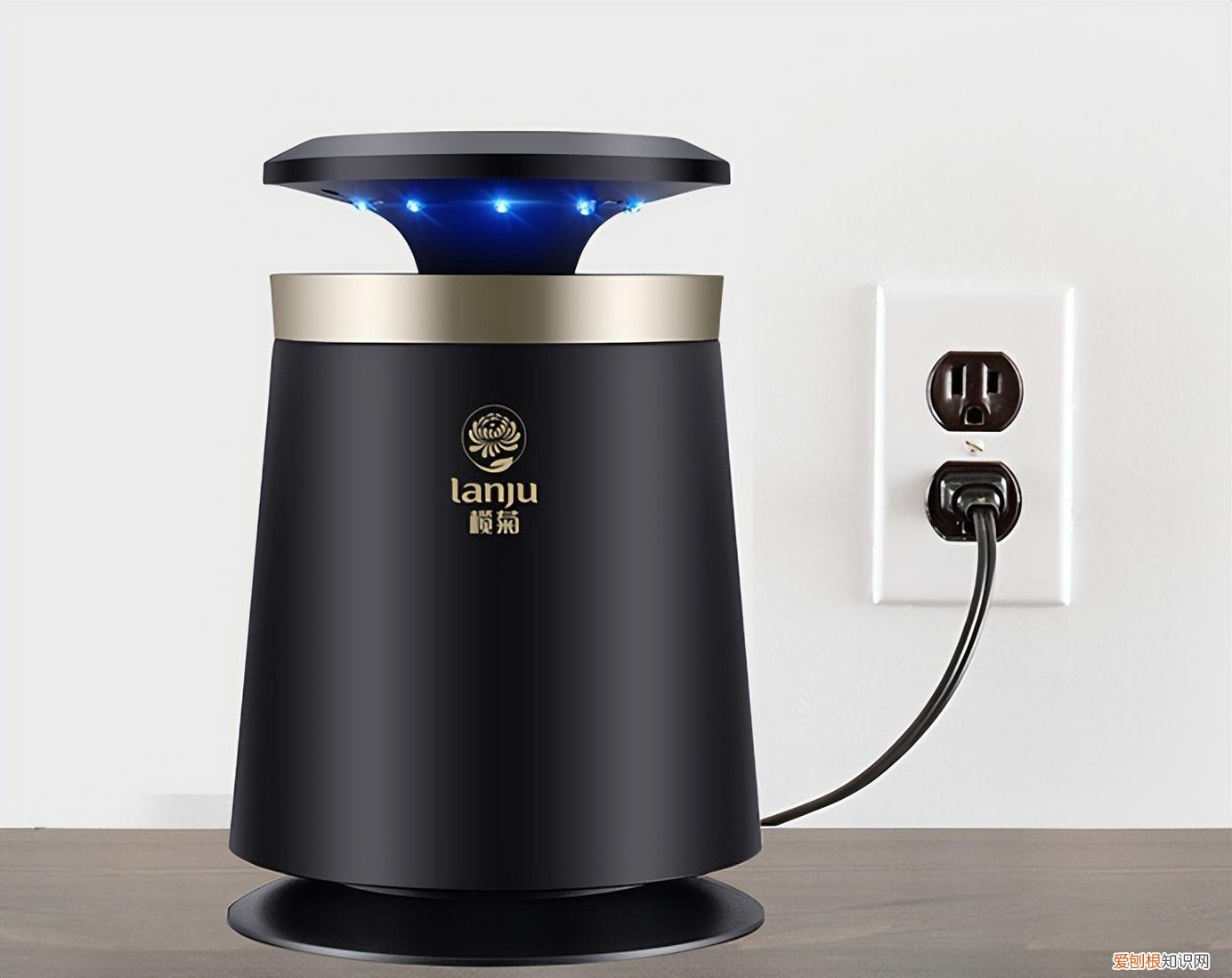 推荐几款好用还不贵的小家电